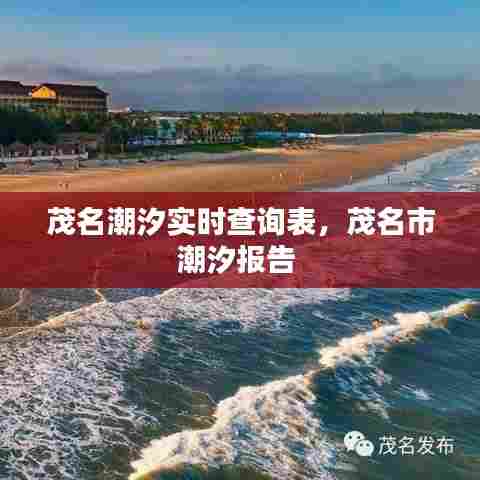 百不获一 第7页