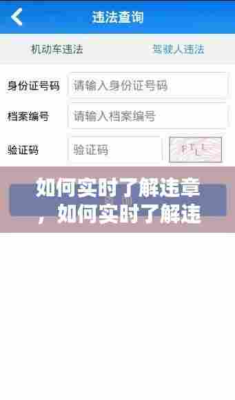 如何实时了解违章,如何实时了解违章信息