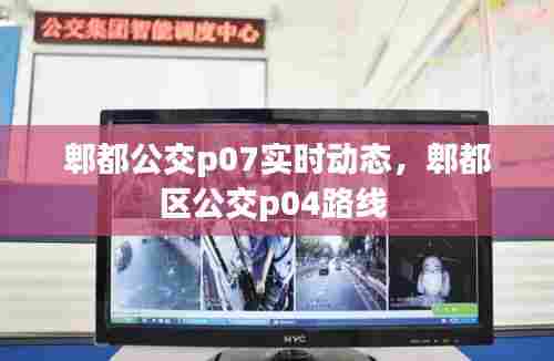郫都公交p07实时动态,郫都区公交p04路线