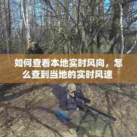 如何查看本地实时风向，怎么查到当地的实时风速 