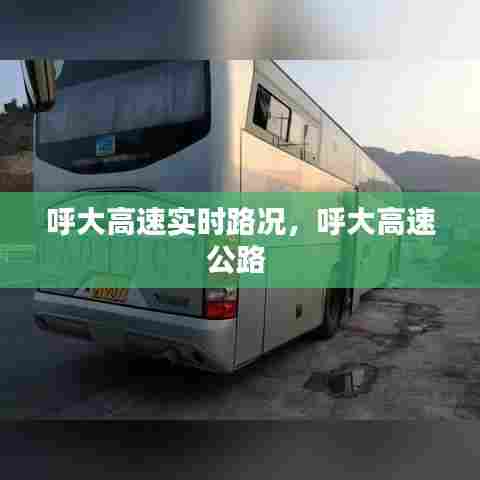 呼大高速实时路况,呼大高速公路