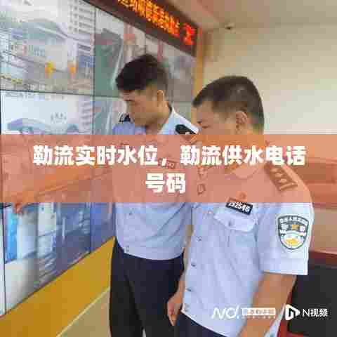 勒流实时水位,勒流供水电话号码