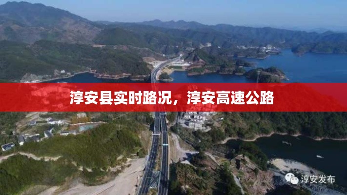 长颈鸟喙 第7页