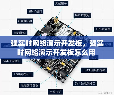 强实时网络演示开发板,强实时网络演示开发板怎么用