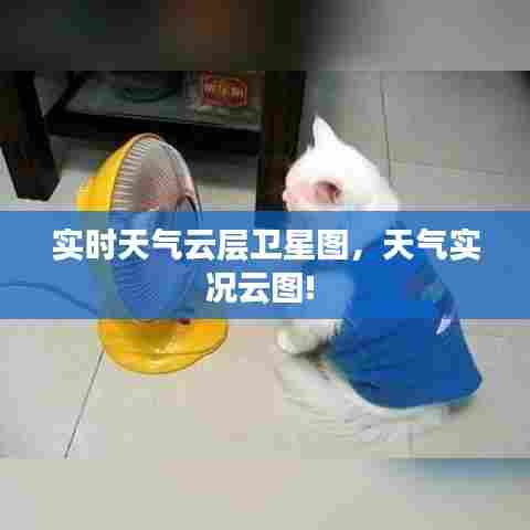 落落大方 第7页