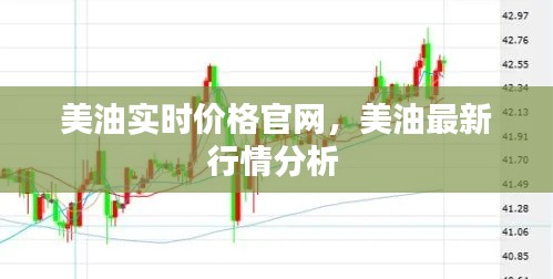 美油实时价格官网,美油最新行情分析