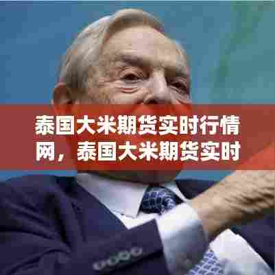 泰国大米期货实时行情网,泰国大米期货实时行情网站