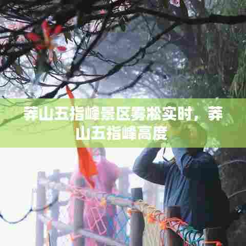 莽山五指峰景区雾凇实时,莽山五指峰高度