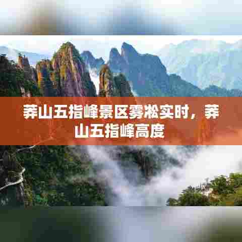 莽山五指峰景区雾凇实时，莽山五指峰高度 