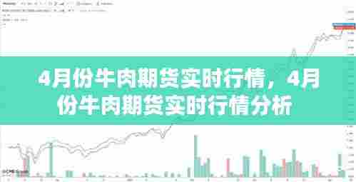 4月份牛肉期货实时行情，4月份牛肉期货实时行情分析 