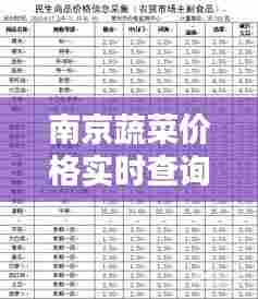 南京蔬菜价格实时查询网，南京蔬菜价格实时查询网站 