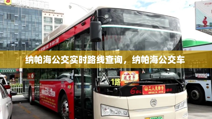 纳帕海公交实时路线查询，纳帕海公交车 