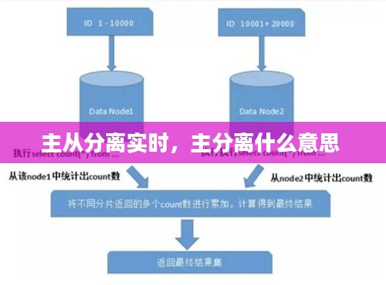 主从分离实时,主分离什么意思