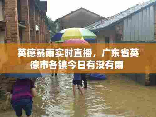 英德暴雨实时直播,广东省英德市各镇今日有没有雨