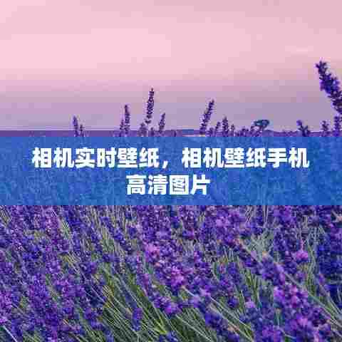 相机实时壁纸,相机壁纸手机高清图片