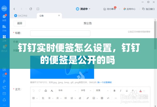 钉钉实时便签怎么设置,钉钉的便签是公开的吗
