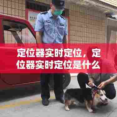 定位器实时定位，定位器实时定位是什么意思 