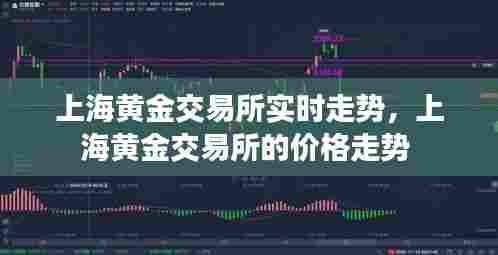 上海黄金交易所实时走势,上海黄金交易所的价格走势