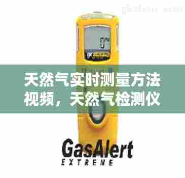 天然气实时测量方法视频,天然气检测仪量程
