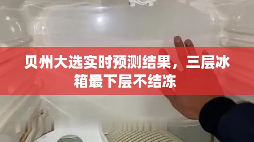 贝州大选实时预测结果,三层冰箱最下层不结冻