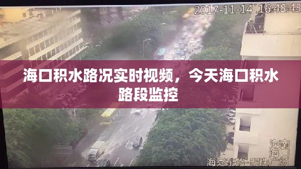 海口积水路况实时视频,今天海口积水路段监控