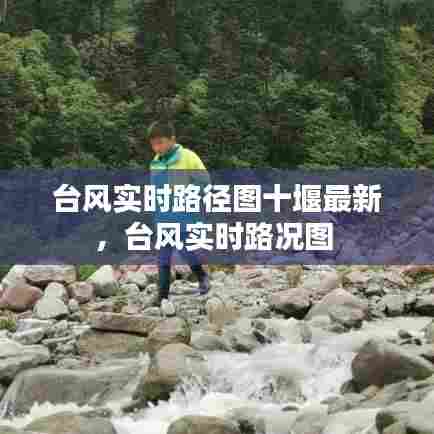 台风实时路径图十堰最新,台风实时路况图