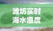 潍坊实时海水温度表,潍坊海水涨潮