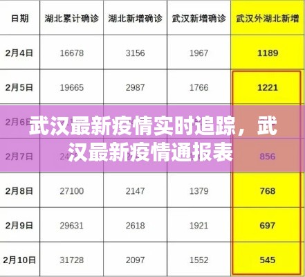 武汉最新疫情实时追踪，武汉最新疫情通报表 