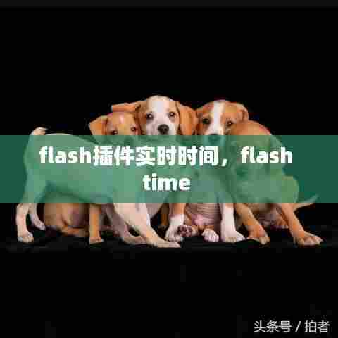 flash插件实时时间,flash time