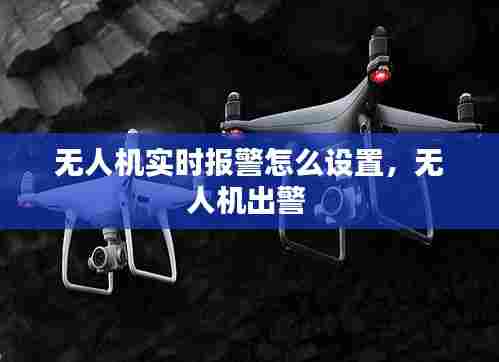 无人机实时报警怎么设置,无人机出警