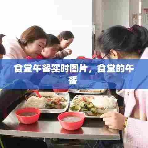 食堂午餐实时图片,食堂的午餐