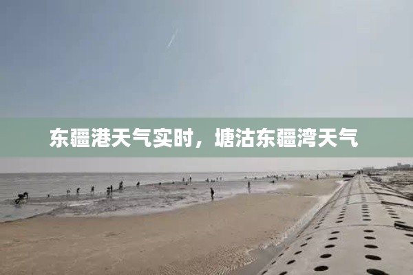 东疆港天气实时,塘沽东疆湾天气
