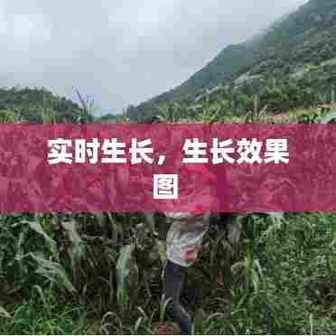 实时生长,生长效果图