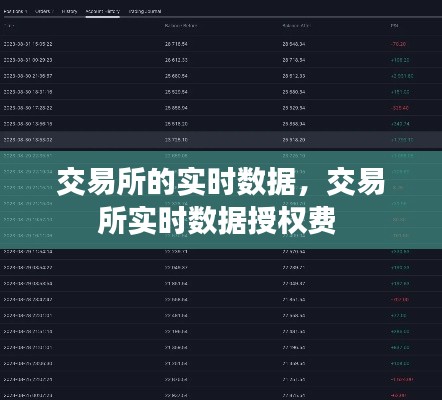 交易所的实时数据,交易所实时数据授权费