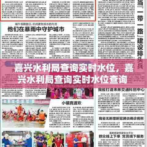 嘉兴水利局查询实时水位，嘉兴水利局查询实时水位查询 