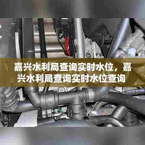 嘉兴水利局查询实时水位,嘉兴水利局查询实时水位查询