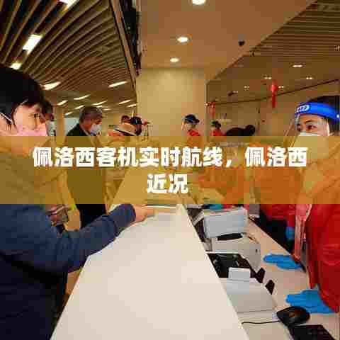 佩洛西客机实时航线,佩洛西近况