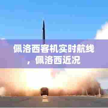佩洛西客机实时航线,佩洛西近况