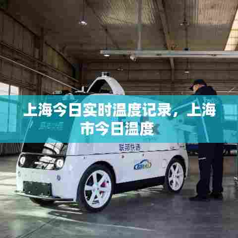上海今日实时温度记录,上海市今日温度