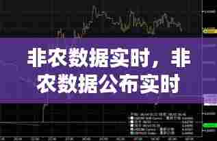 非农数据实时,非农数据公布实时