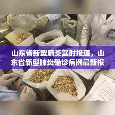 山东省新型肺炎实时报道,山东省新型肺炎确诊病例最新报道