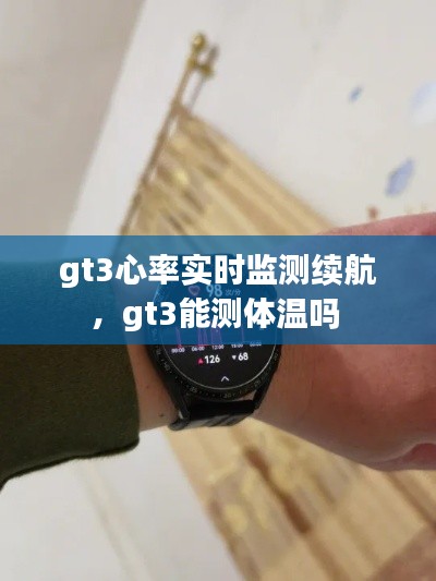 gt3心率实时监测续航,gt3能测体温吗