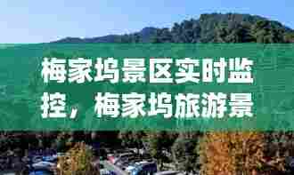 梅家坞景区实时监控,梅家坞旅游景点