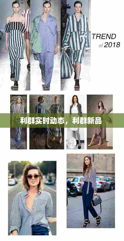 利群实时动态,利群新品