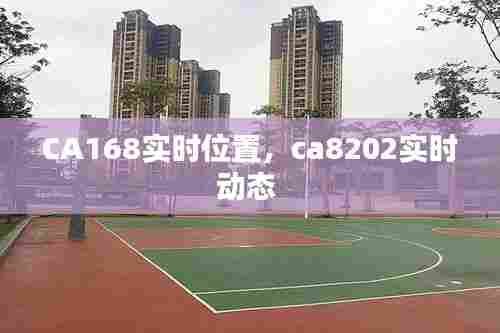 CA168实时位置,ca8202实时动态