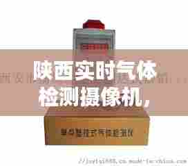 陕西实时气体检测摄像机，西安气体检测公司 