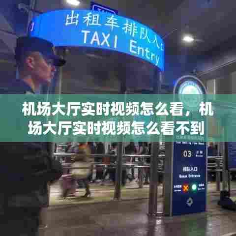 机场大厅实时视频怎么看,机场大厅实时视频怎么看不到