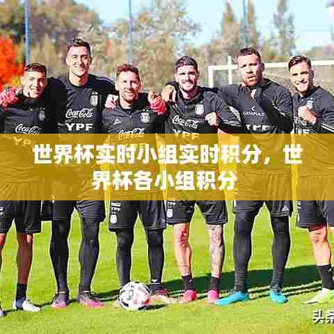 世界杯实时小组实时积分，世界杯各小组积分 