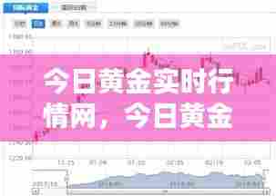 今日黄金实时行情网,今日黄金实时行情网