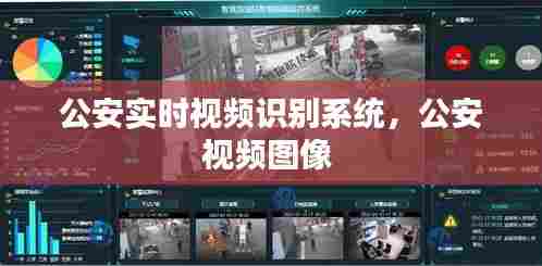 公安实时视频识别系统,公安视频图像